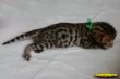 IMG_9852i.jpg